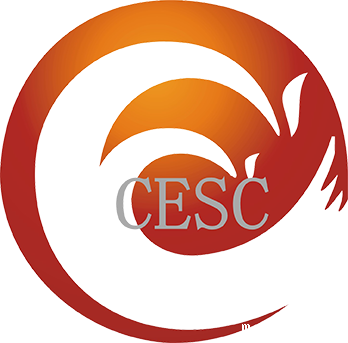 同声传译中断句的翻译技巧有哪些 同声传译中断句的翻译技巧有哪些